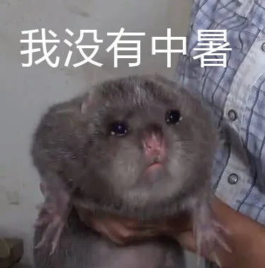 流泪竹鼠表情包：我没有中暑（流泪竹鼠表情包：我没有中暑）