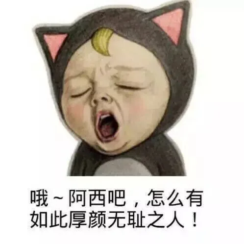哦~阿西吧，怎么有如此厚颜无耻之人！（哦~阿西吧，怎么有如此厚颜无耻之人！）