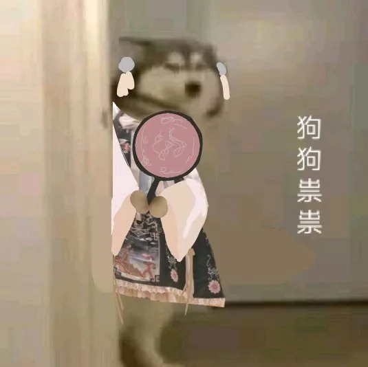 狗狗祟祟拿扇子（狗狗祟祟拿扇子）