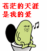 苍茫的天涯是我的爱！