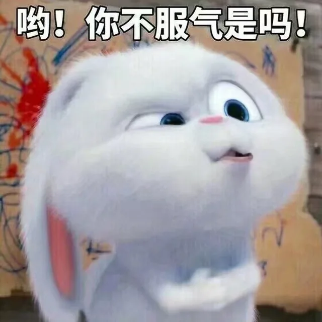 哟！你不服气是吗！（哟！你不服气是吗！）