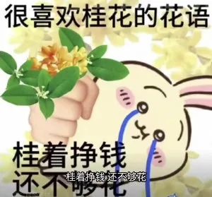 很喜欢桂花的花语桂着挣钱还不桂着挣钱还不够花（很喜欢桂花的花语桂着挣钱还不桂着挣钱还不够花）