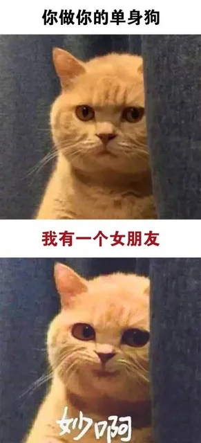 你做你的单身狗，我有一个女朋友，妙啊