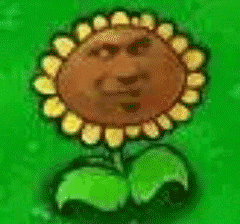 沙雕向日葵