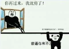你再过来，我就剪了- 你那么屌，爬着网线过来打我啊