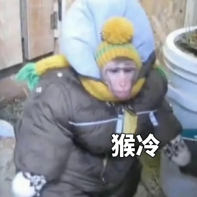 猴冷（猴冷）