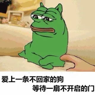 爱上一条不回家的狗，等待一扇不开启的门