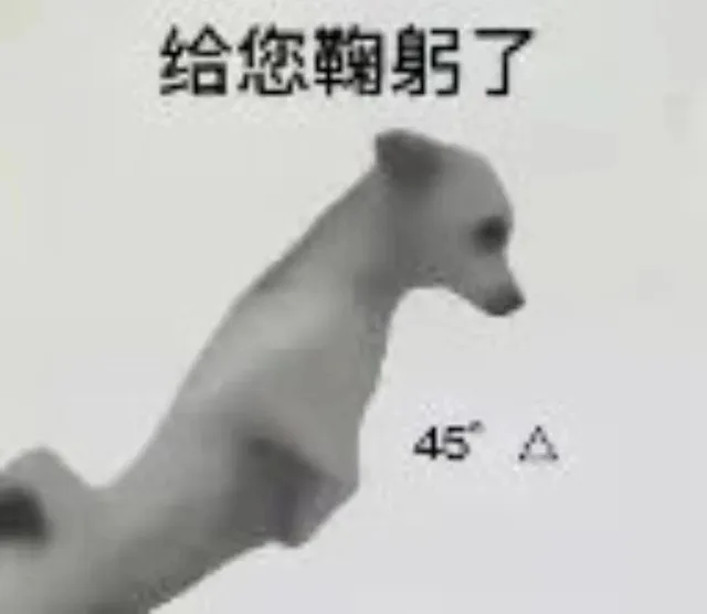 给您鞠躬了45A（给您鞠躬了45A）