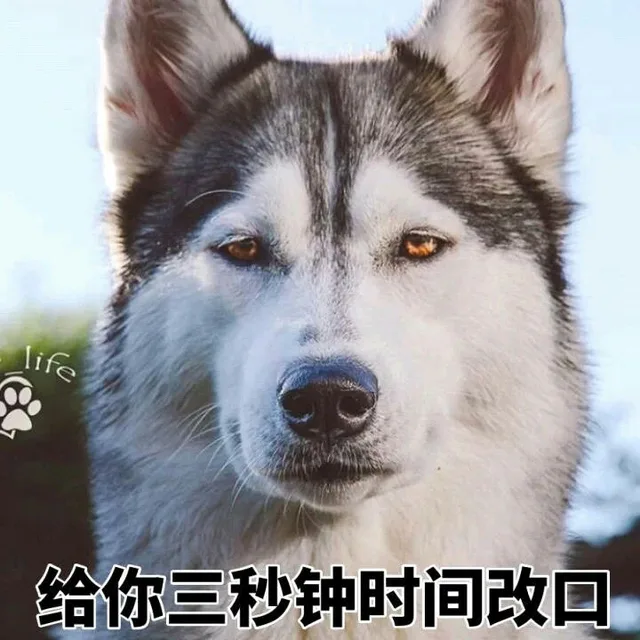 给你三秒钟时间改口（给你三秒钟时间改口）