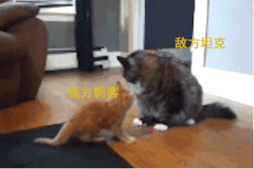 敌方 vs 我方刺客
