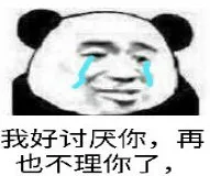 我好讨厌你，再也不理你了，（我好讨厌你，再也不理你了，）