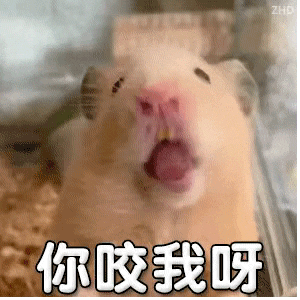 鼠鼠表情包 你咬我呀（鼠鼠表情包 你咬我呀）