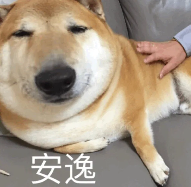 安逸（大嘴狗表情包）