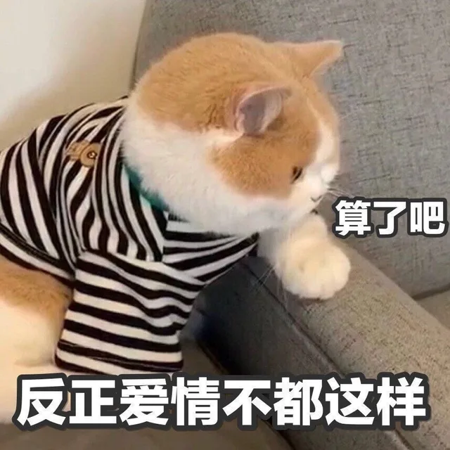 算了吧反正爱情不都这样