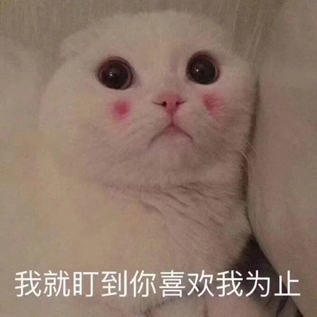 我就盯到你喜欢我为止（我就盯到你喜欢我为止）