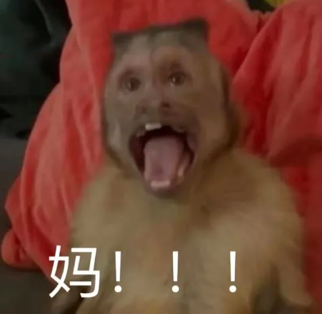 妈！！！（妈！！！）