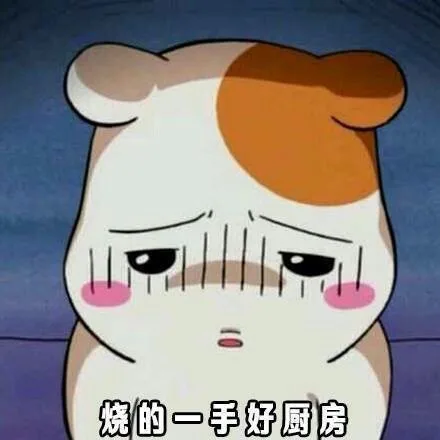 烧的一手好厨房