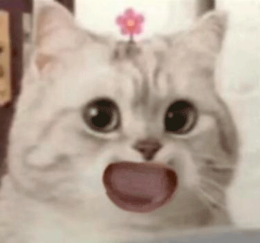 微笑小猫表情包 咧嘴