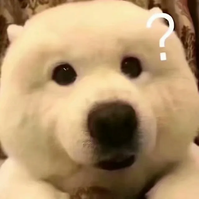 ？狗狗问号