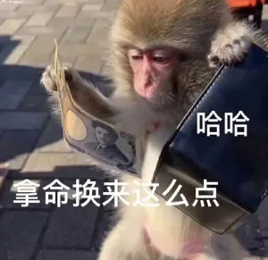 哈哈拿命换来这么点（哈哈拿命换来这么点）