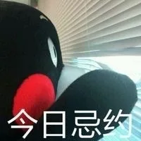 我是一个如此nice的人（熊本熊）_表情头牌_动图_熊本熊_搞笑_装逼_可爱_萌萌哒_卡通
