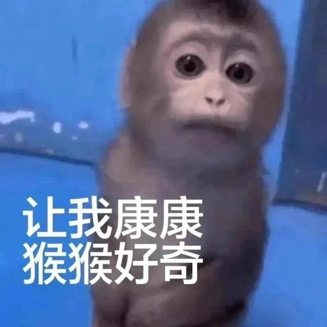 让我康康猴猴好奇（让我康康猴猴好奇）