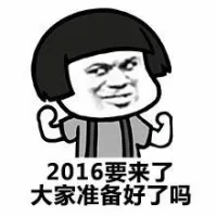 2016，首先希望有房有车，女朋友有钱充气_2016_求好运_敬业福_老公表情包
