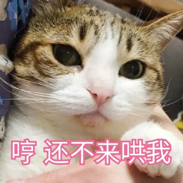 哼还不来哄我（哼还不来哄我）