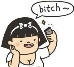 bitch（bitch）
