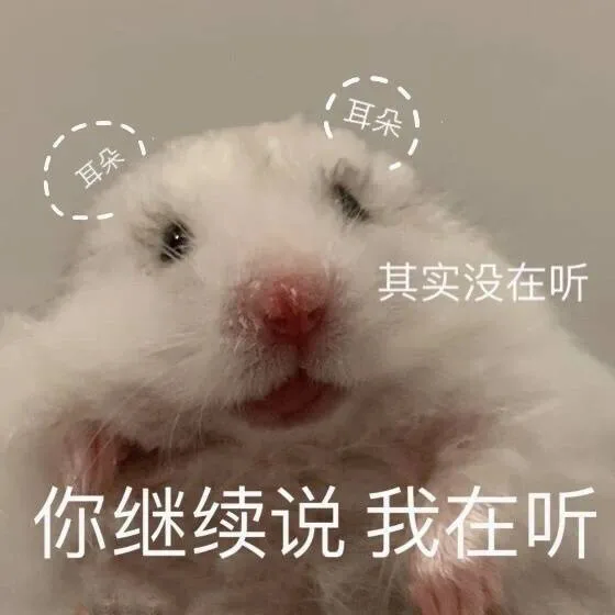 耳朵耳朵其实没在听你继续说我在听（耳朵耳朵其实没在听你继续说我在听）