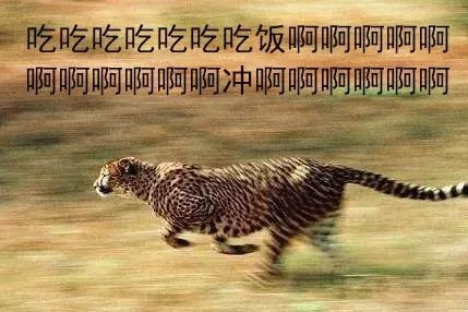 吃吃吃饭啊啊阿 冲啊啊啊（吃吃吃饭啊啊阿 冲啊啊啊）