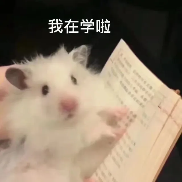 我在学啦（我在学啦）