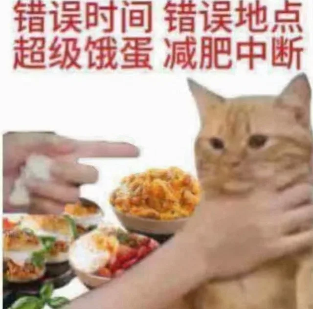 错误时间错误地点超级饿蛋减肥中断（错误时间错误地点超级饿蛋减肥中断）