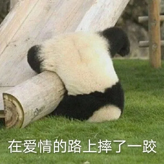 在爱情的路上摔了一跤（在爱情的路上摔了一跤）