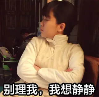 别理我，我想静静