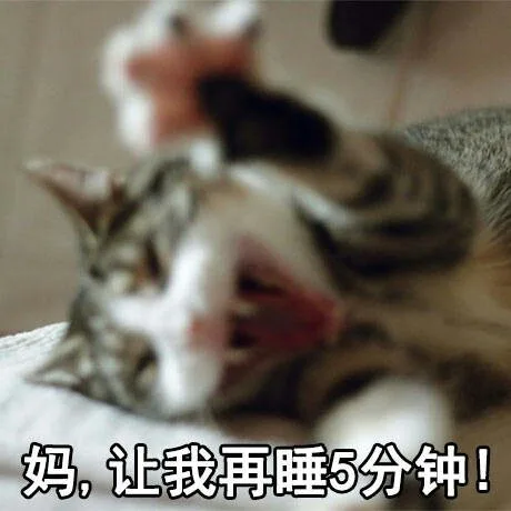 妈！让我再睡5分钟！（妈！让我再睡5分钟！）