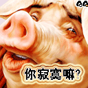 你寂寞嘛？