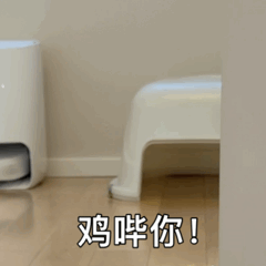 鸡哔你！（鸡哔你！）