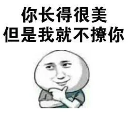 你长得很美但是我就不撩你