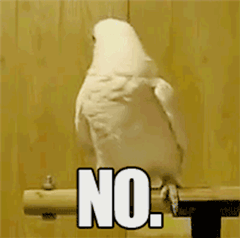 NO.（NO.）
