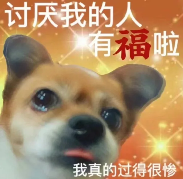 讨厌我的人有福啦我真的过得很惨（讨厌我的人有福啦我真的过得很惨）