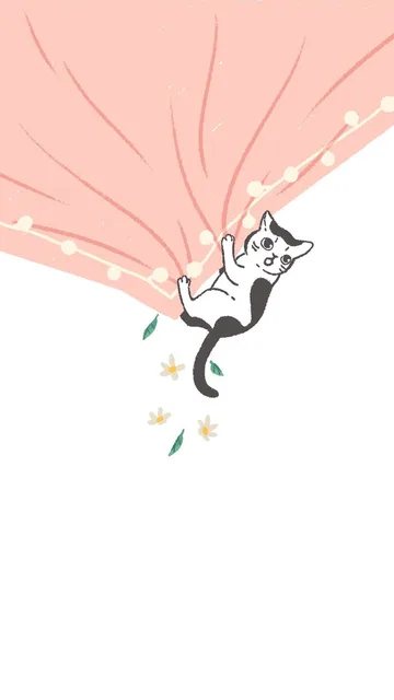 猫咪手机壁纸