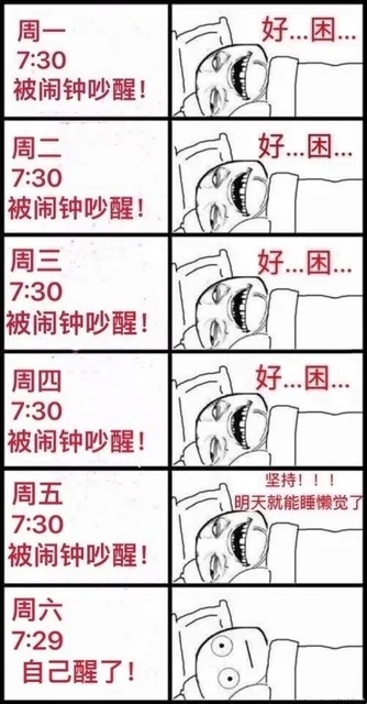 人 间 真 实_内涵