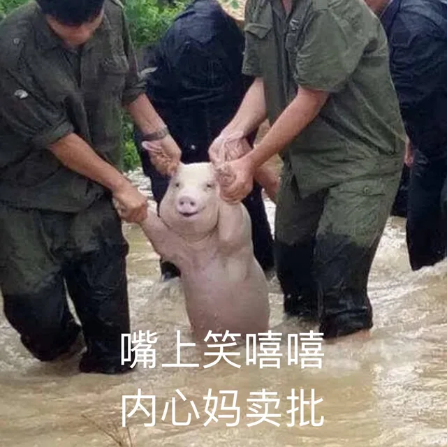 嘴上笑嘻嘻，内心妈卖批