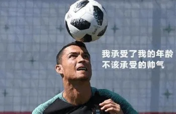 我承受了我的年龄不该承受的帅气会（我承受了我的年龄不该承受的帅气会）
