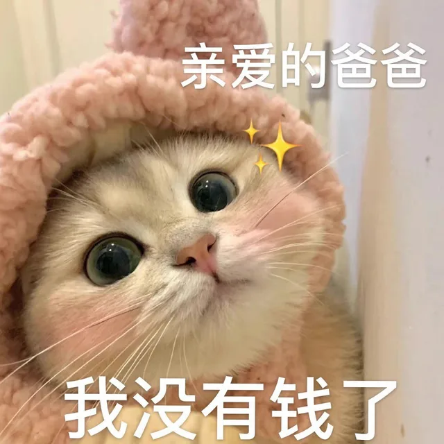 亲爱的爸爸我没有钱了（亲爱的爸爸我没有钱了）