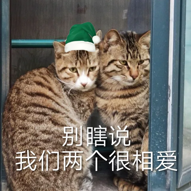 别瞎说，我们两个很相爱（别瞎说，我们两个很相爱）