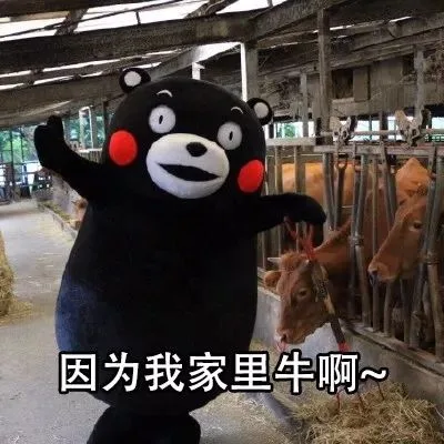 因为我家里牛啊~