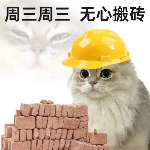 周三周三无心搬砖（周三周三无心搬砖）