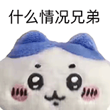 什么情况兄弟（什么情况兄弟）